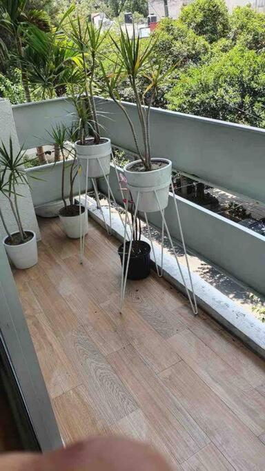 Cozy Apartment In Condesa'S Heart ! เม็กซิโกซิตี้ ภายนอก รูปภาพ